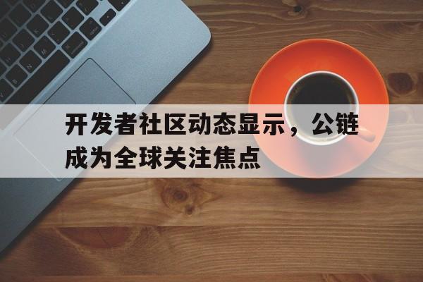 关于开发者社区动态显示，公链成为全球关注焦点的信息